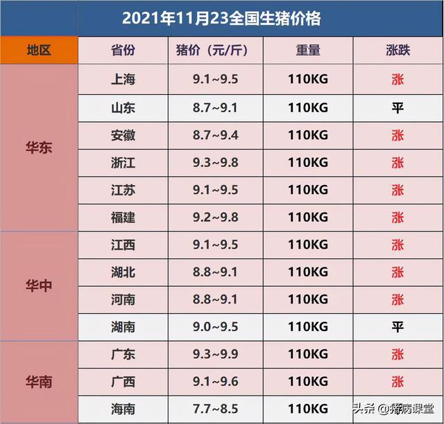 今天生豬價格分析，市場走勢下的多元觀點探討