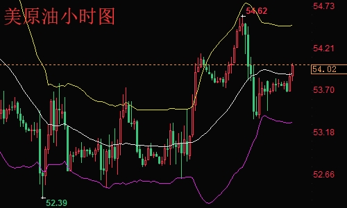 原油操作建議最新探索，小巷特色小店的獨(dú)特魅力與寶藏